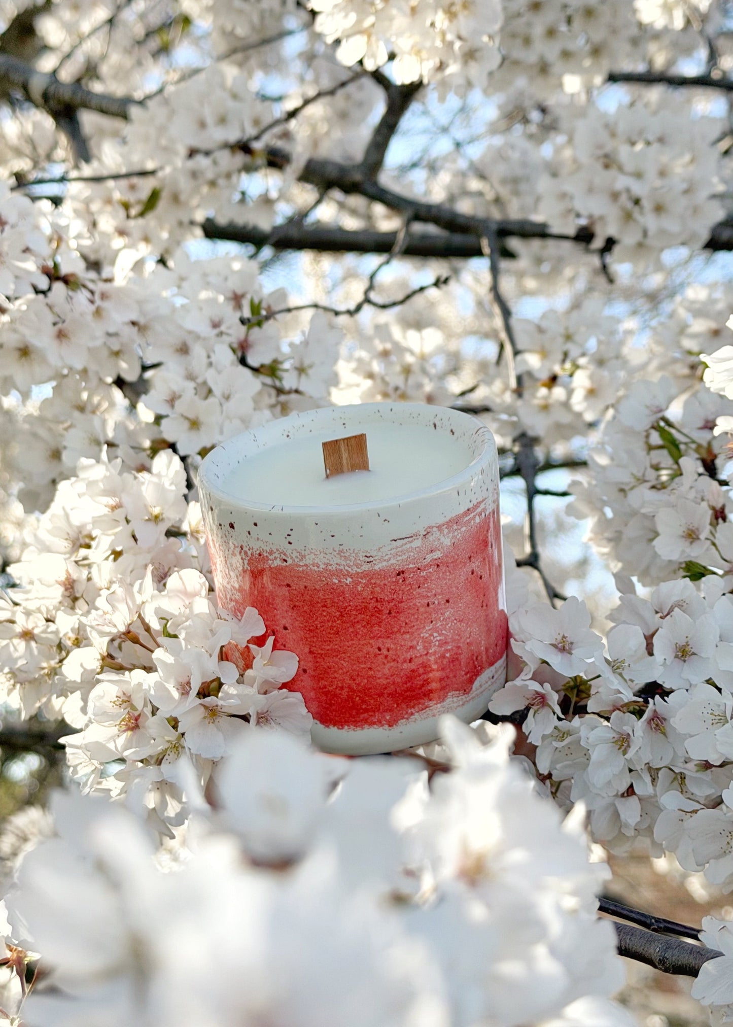Candle with a wooden wick surrounded by white cherry blossoms